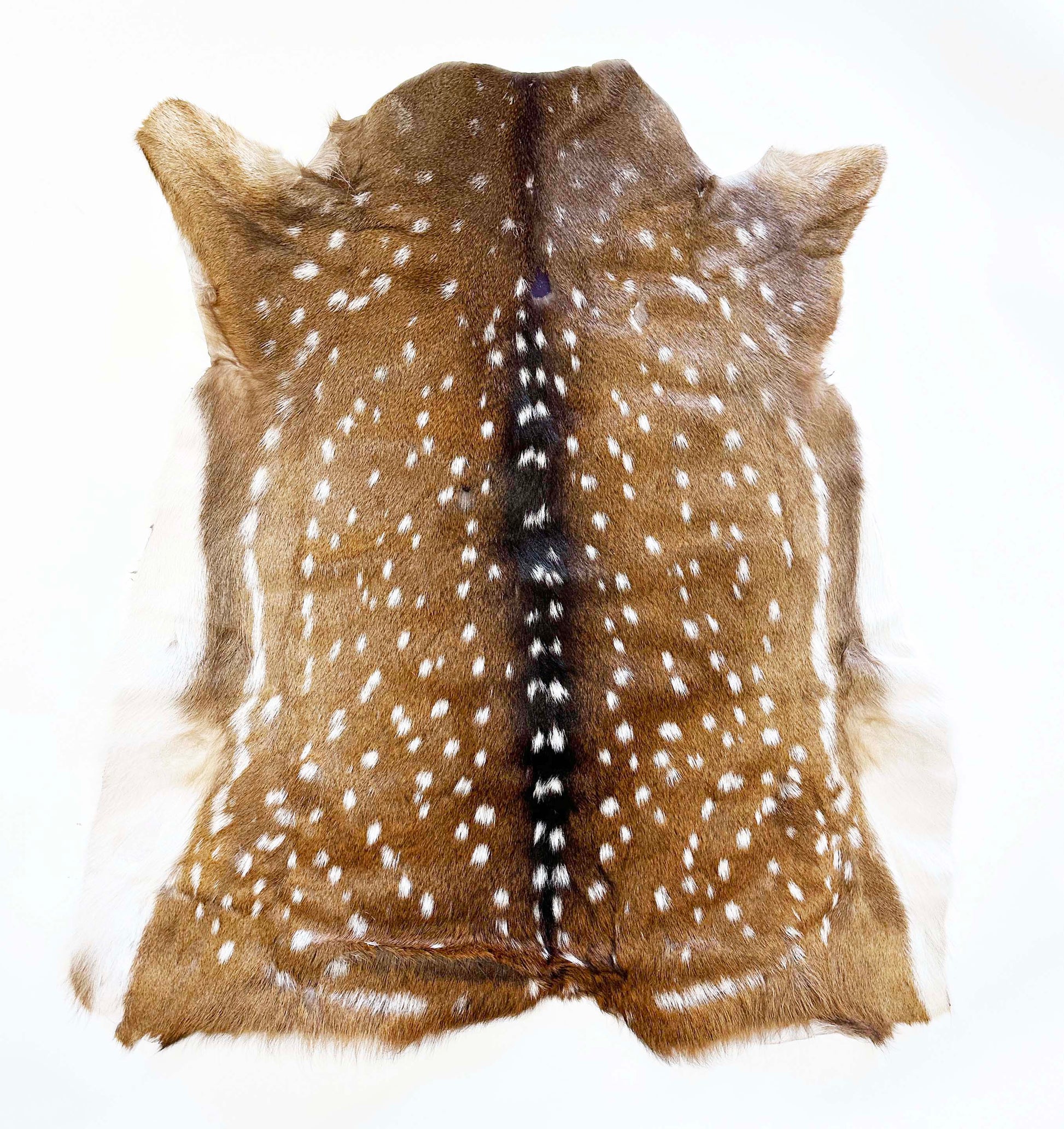axis animal hide