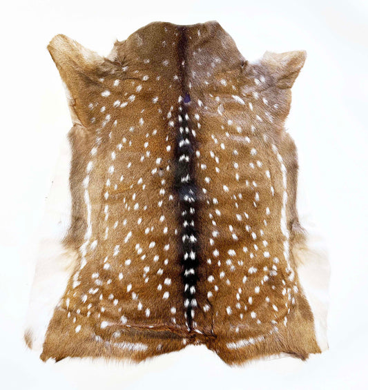 axis animal hide