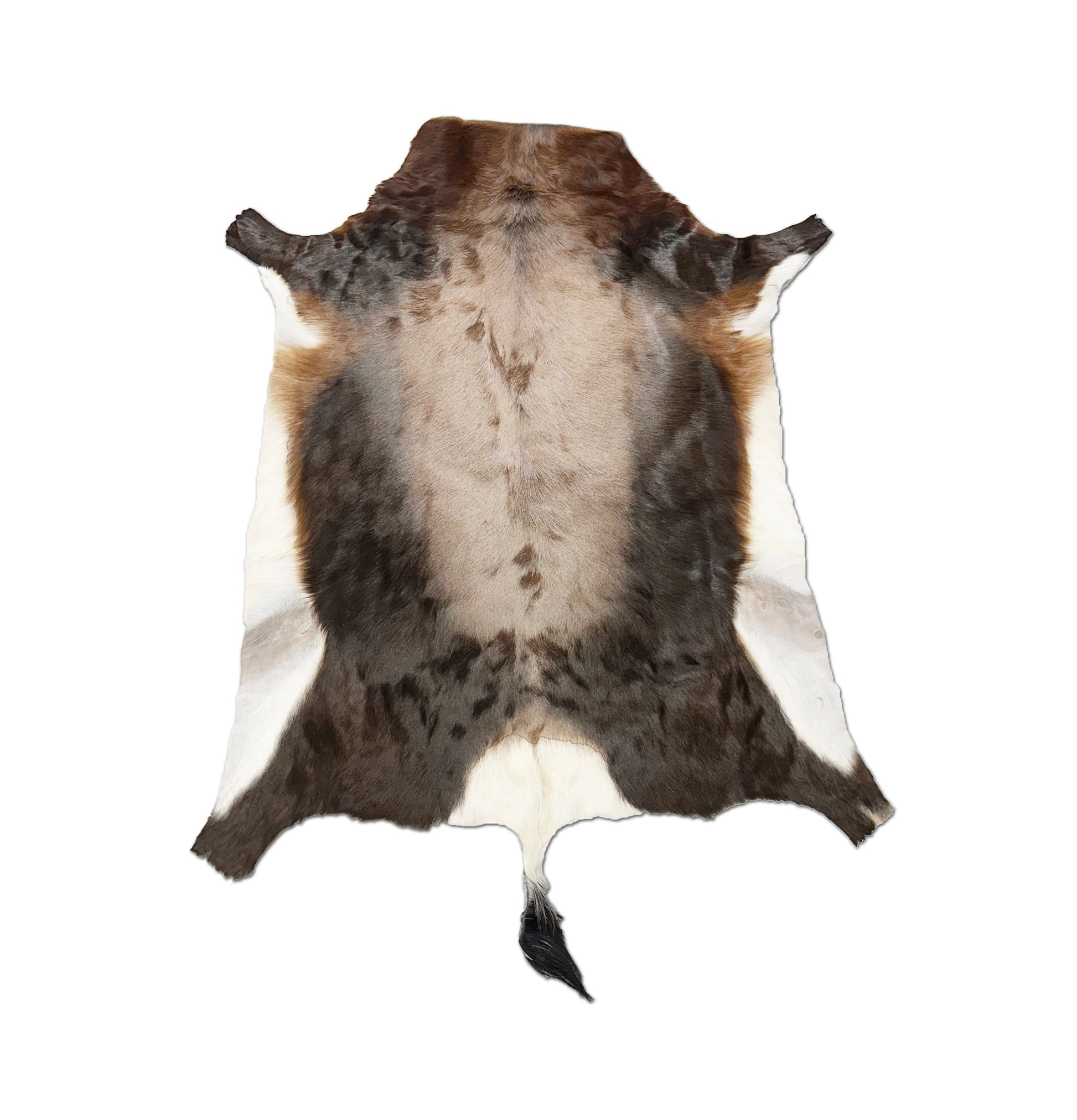 blesbok game hide rug