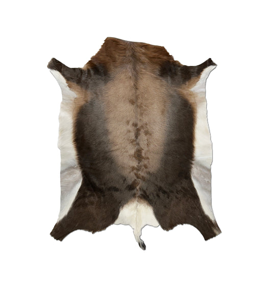 blesbok game hide rug