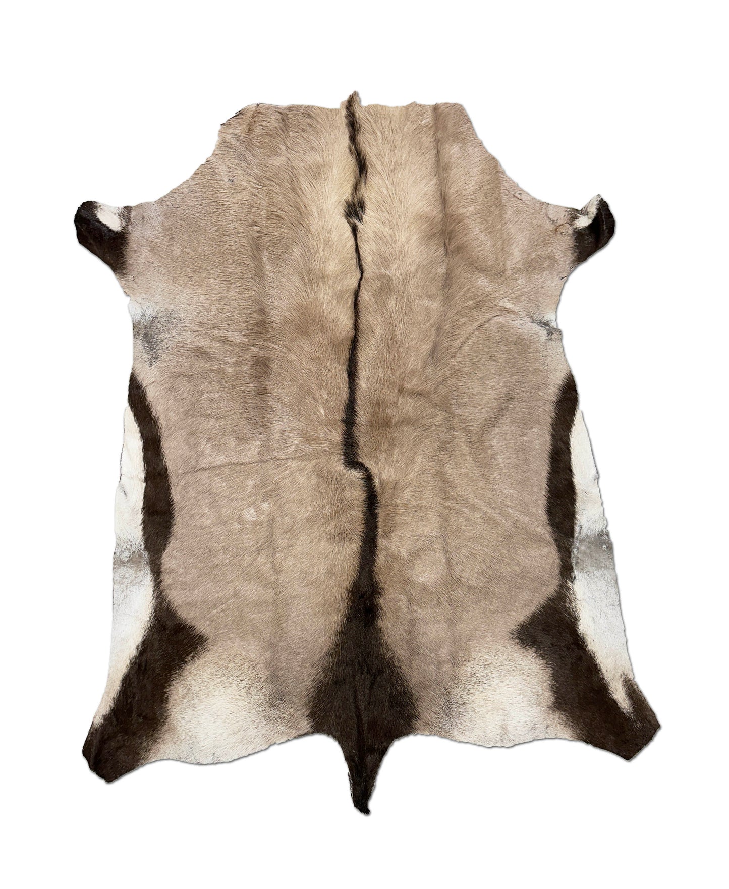 oryx gemsbok game hide rug