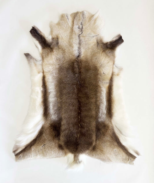 caribou hide