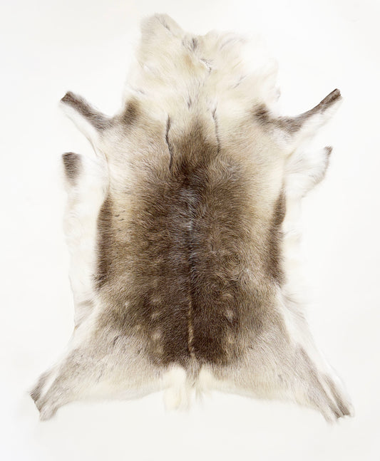 caribou fur rug