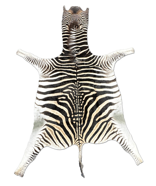 zebra rug